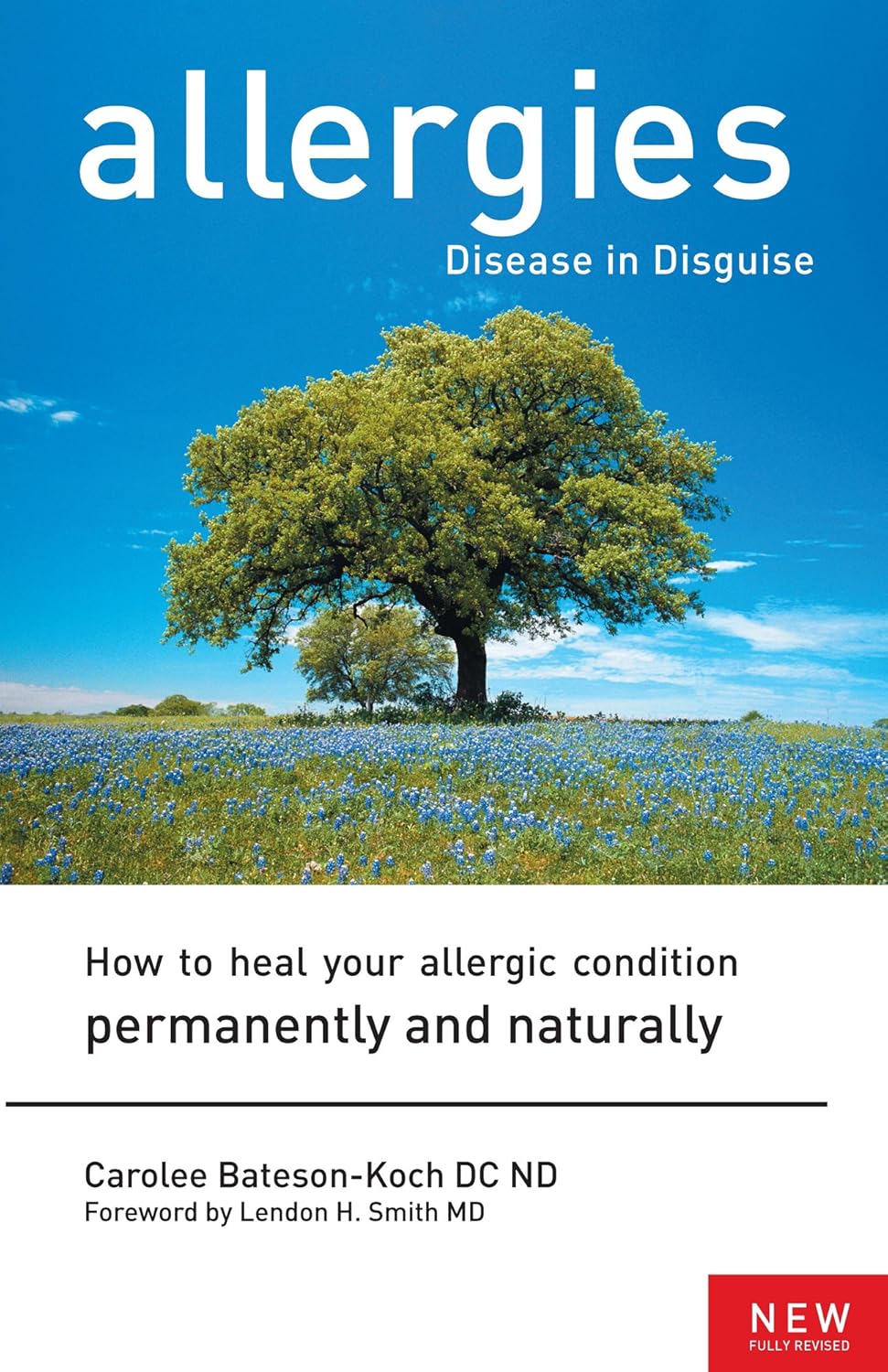 Allergies Disease in Disguse